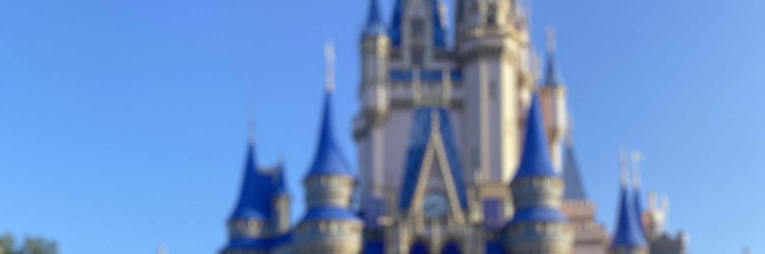 belle's banner