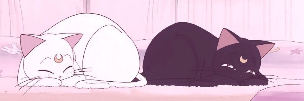 Dianniwis 💌's banner
