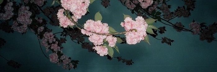 Caviar's banner