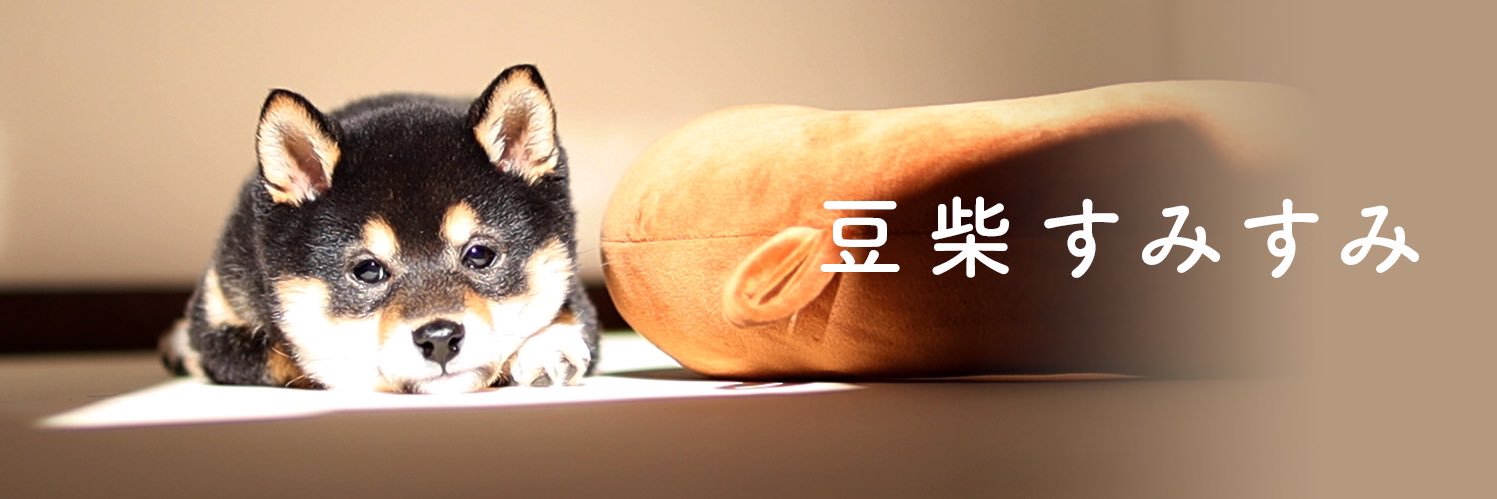 豆柴すみすみ's banner