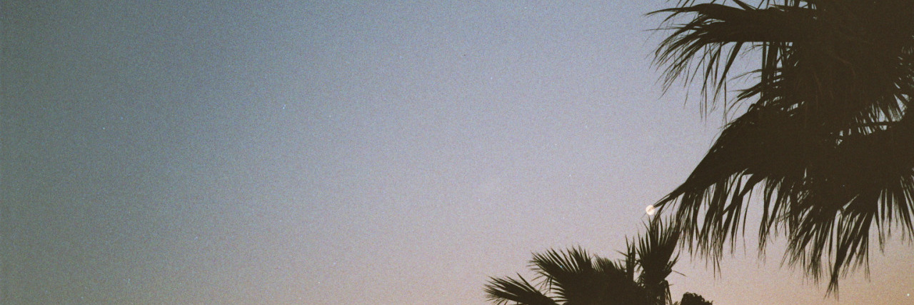 Bianca's banner