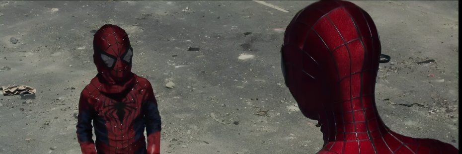 Harry's banner