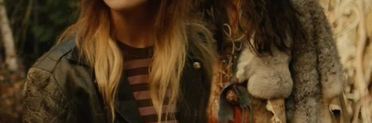 Liv𐚁's banner