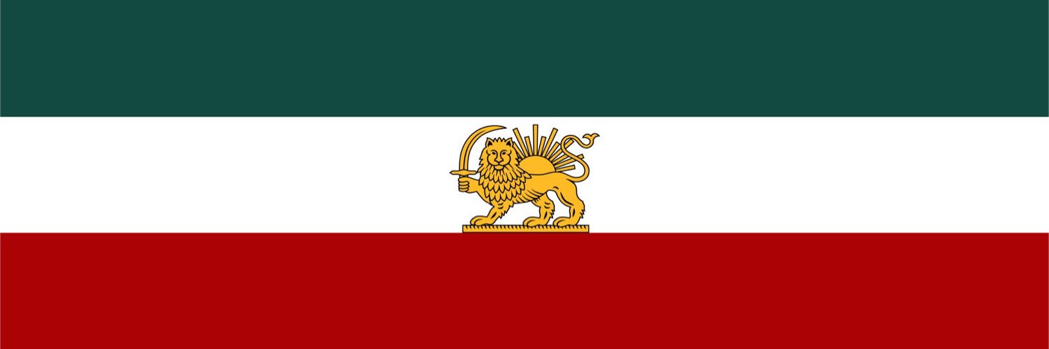 زنبور 🇺🇸🇮🇷's banner