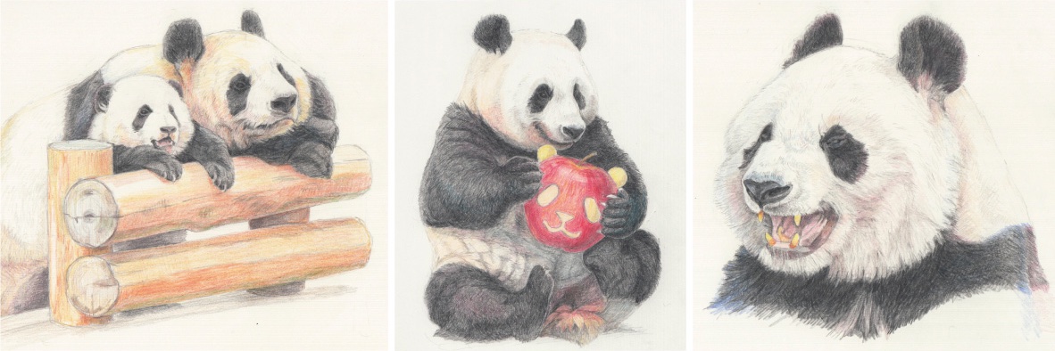 Bonjour Panda's banner