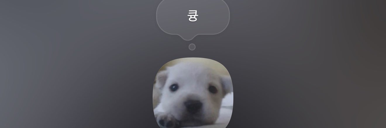 몽디✨'s banner