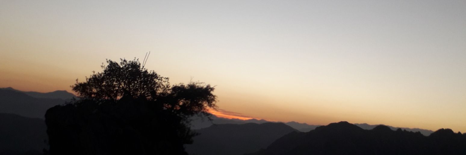 اکرام الدين مفتون's banner