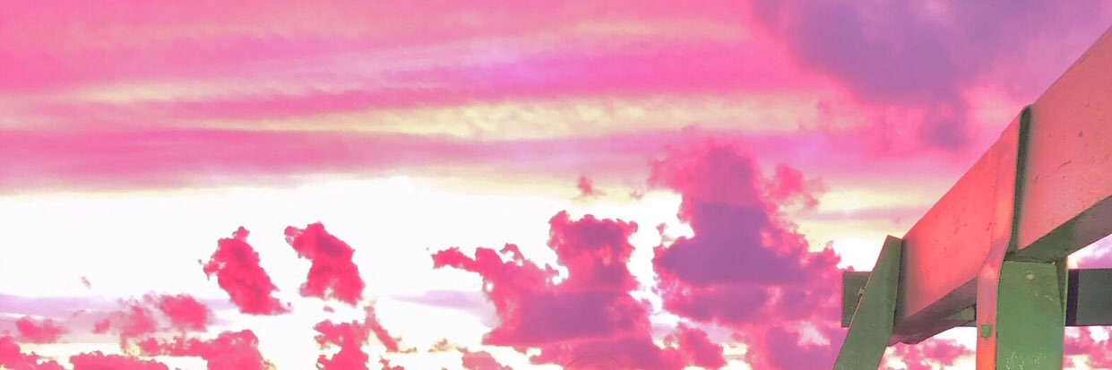 Felina.jpg 🐈's banner