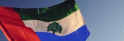 Salem Alnahdi's banner