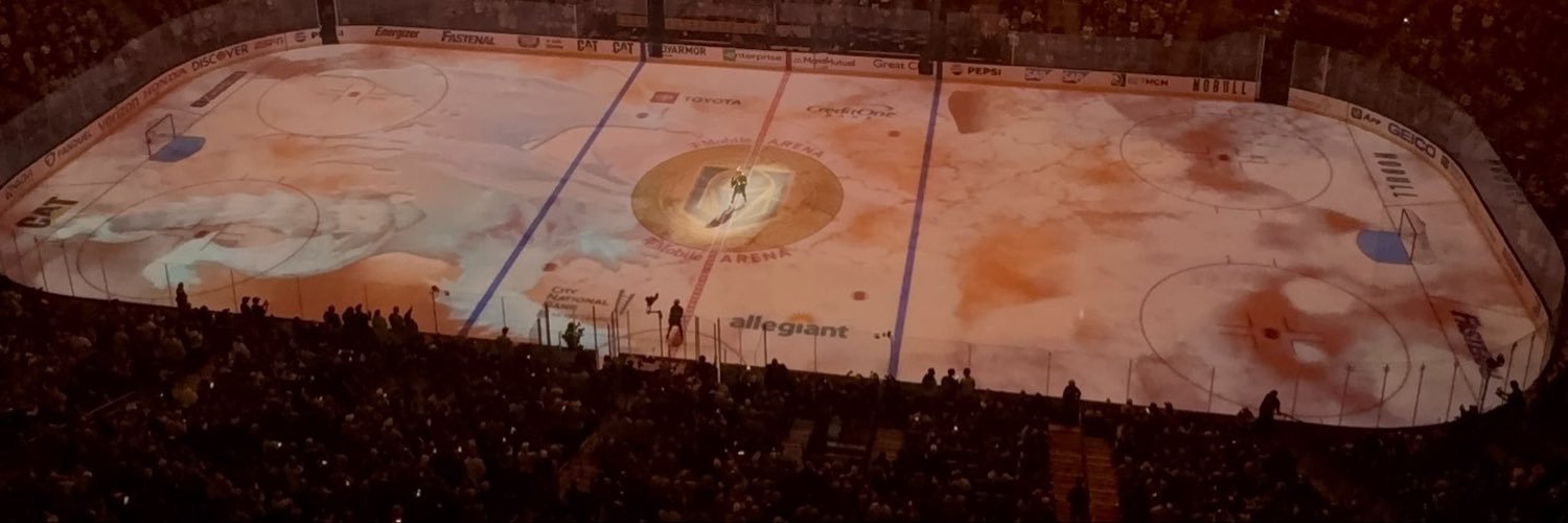 Dominic Lavoie's banner