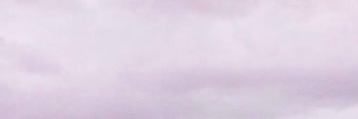 caroline ꕤ's banner