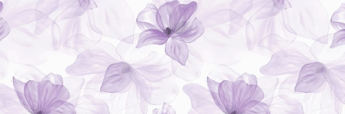 Ｐａｕ☿ 🦋's banner