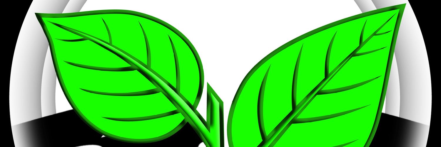 SaranVinoth's banner