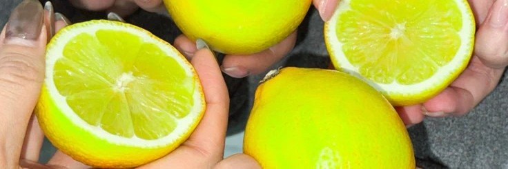 lala 🍋‍🟩's banner