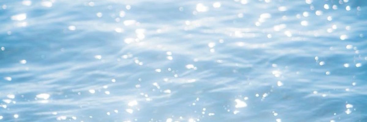 florie's banner