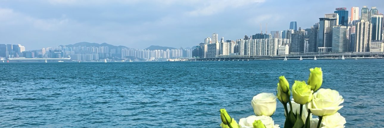 新瑞🐳's banner