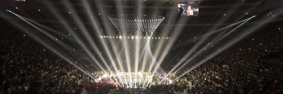 Boxing Fan 🇯🇵's banner