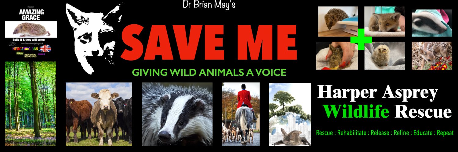 Brian May's Save Me Trust's banner