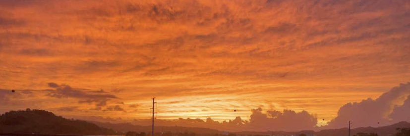 Diare✨'s banner