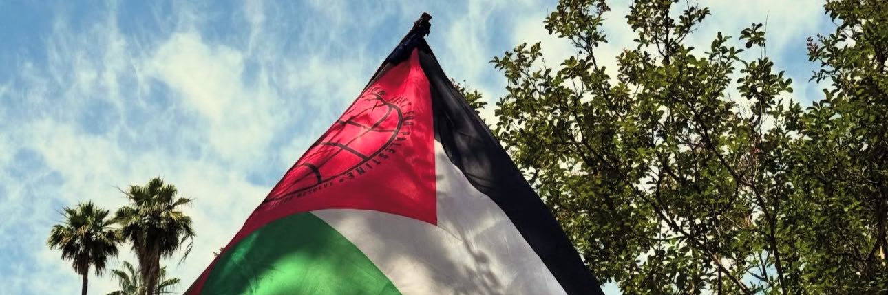 The United Liberation Front for Palestine's banner