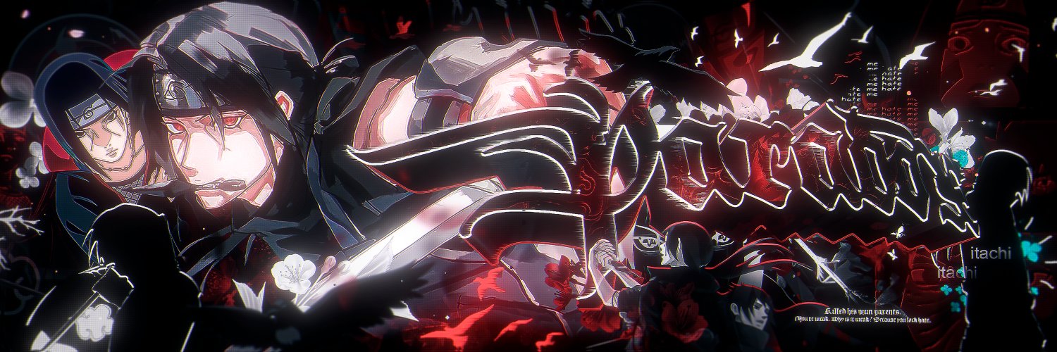 The Musical Paradox's banner