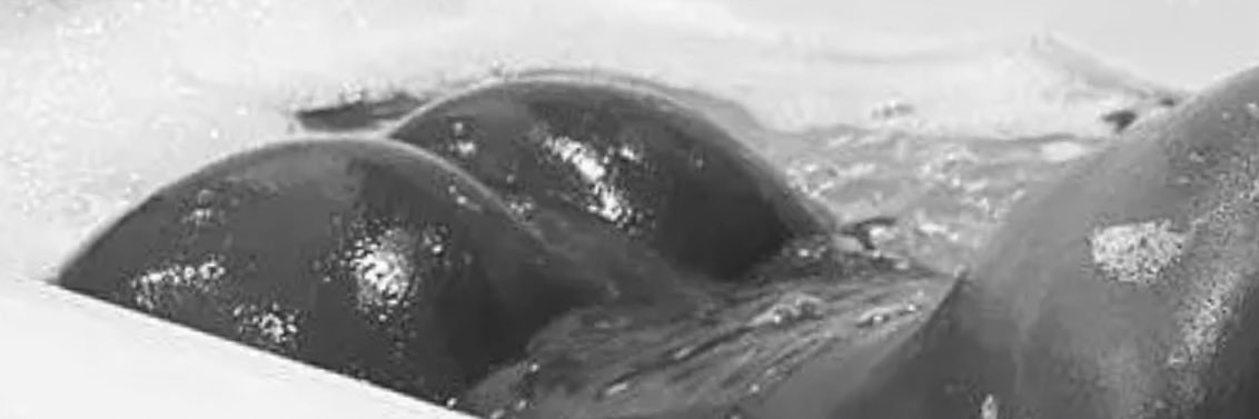 Noir Boii's banner