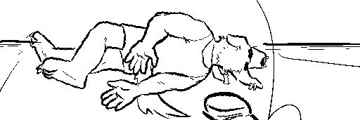 Jagshiro's banner