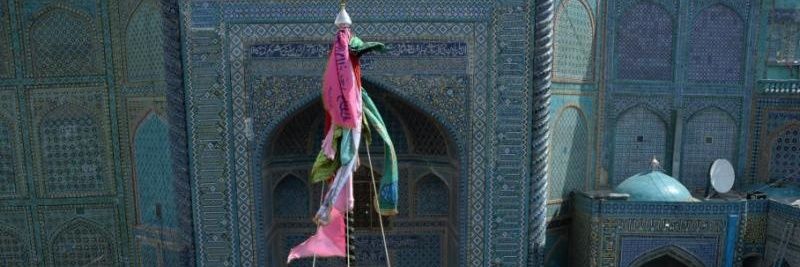 Reza Mohammadi's banner