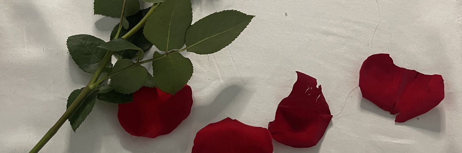 Niki's banner