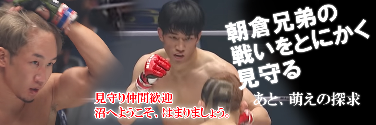 micchie😉🥊🌊🇯🇵's banner