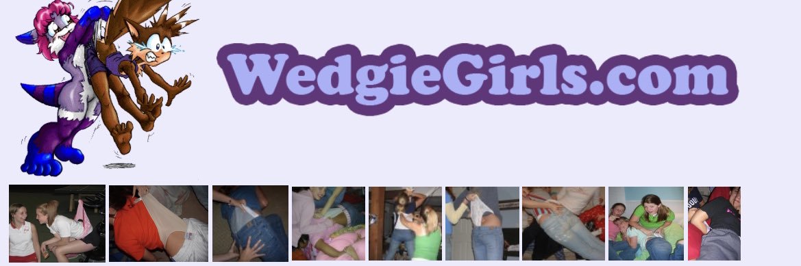 Wedgie Historian's banner