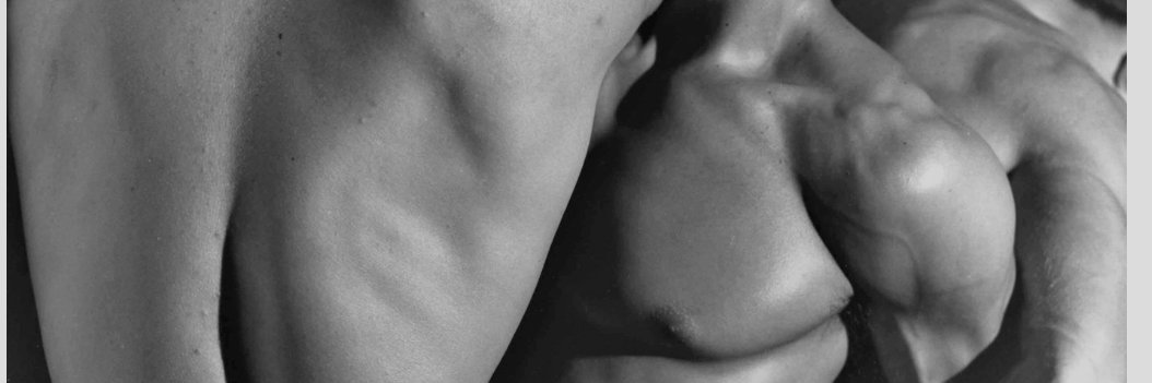 Best Of Gay Porn's banner