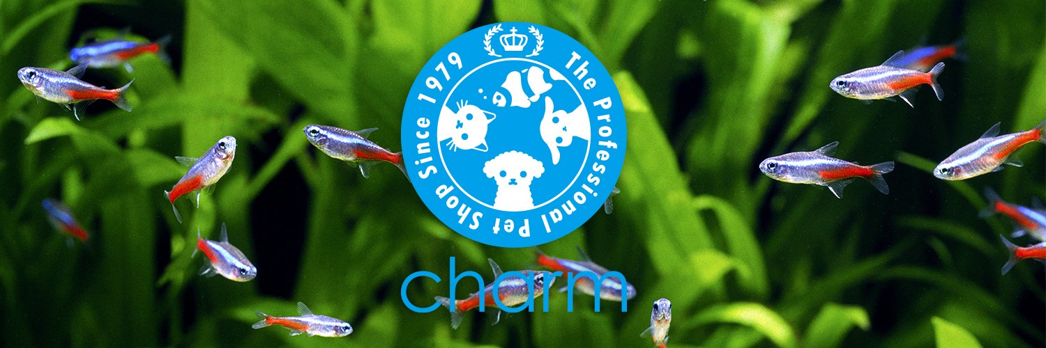 【熱帯魚・淡水魚】チャーム公式's banner