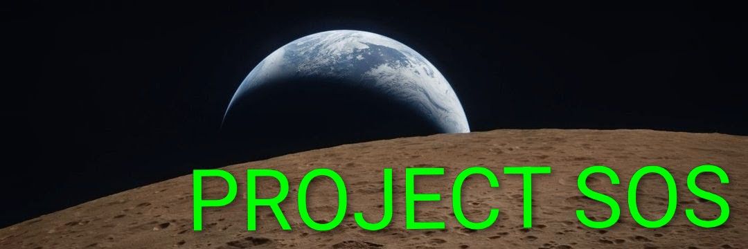 🇯🇵日本🇯🇵国民の声🗣総代表's banner