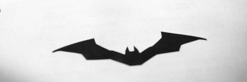 b🦇's banner