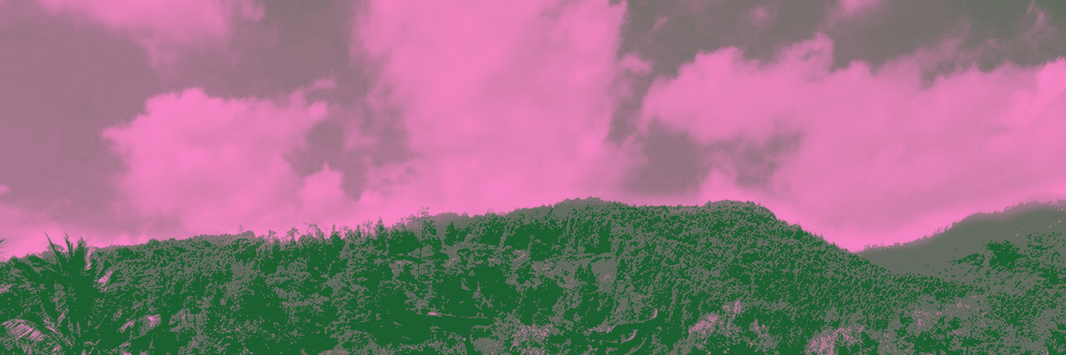 Alfarosi Arsita 🐸🌸's banner
