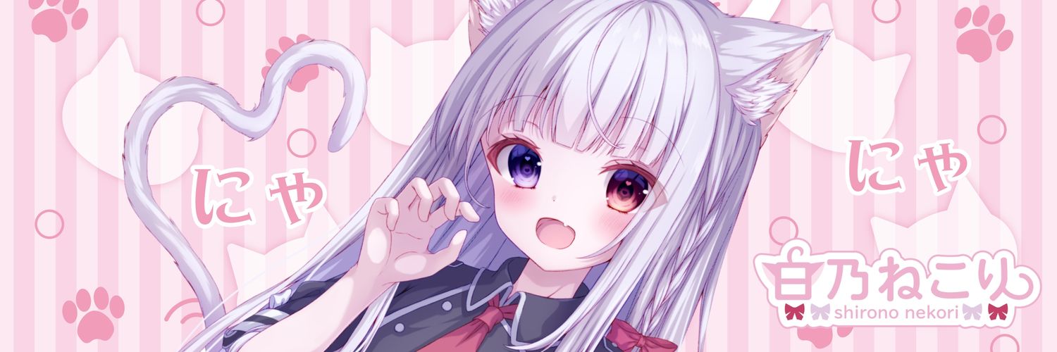 白乃ねこり🎀🐈🎀VTuber's banner