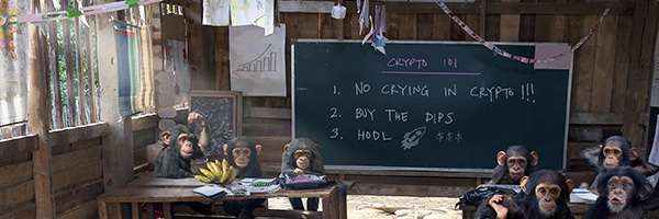 cryptopainter 🐯🍌's banner