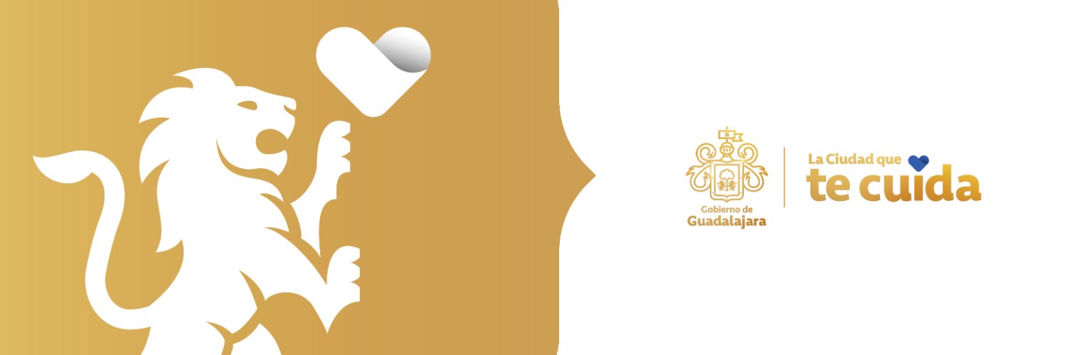 Verónica Delgadillo's banner