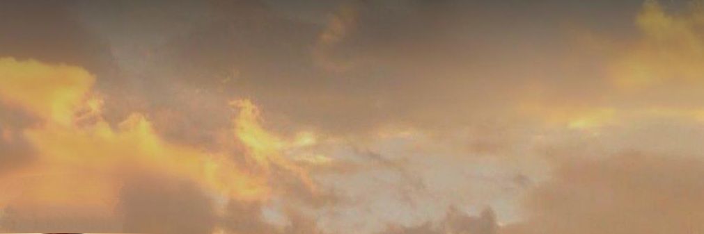 Ayşe's banner