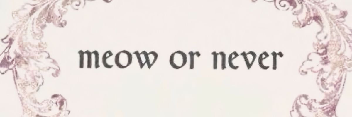 ꕤ angelica's banner