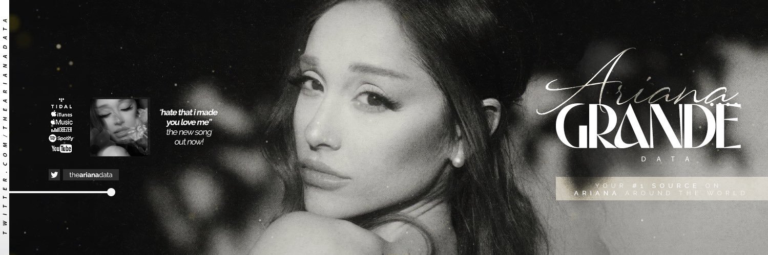 Ariana Data's banner