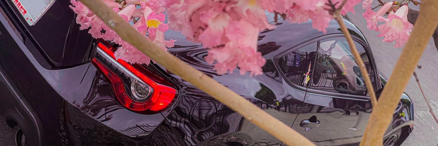 👑みうMiu🌺's banner