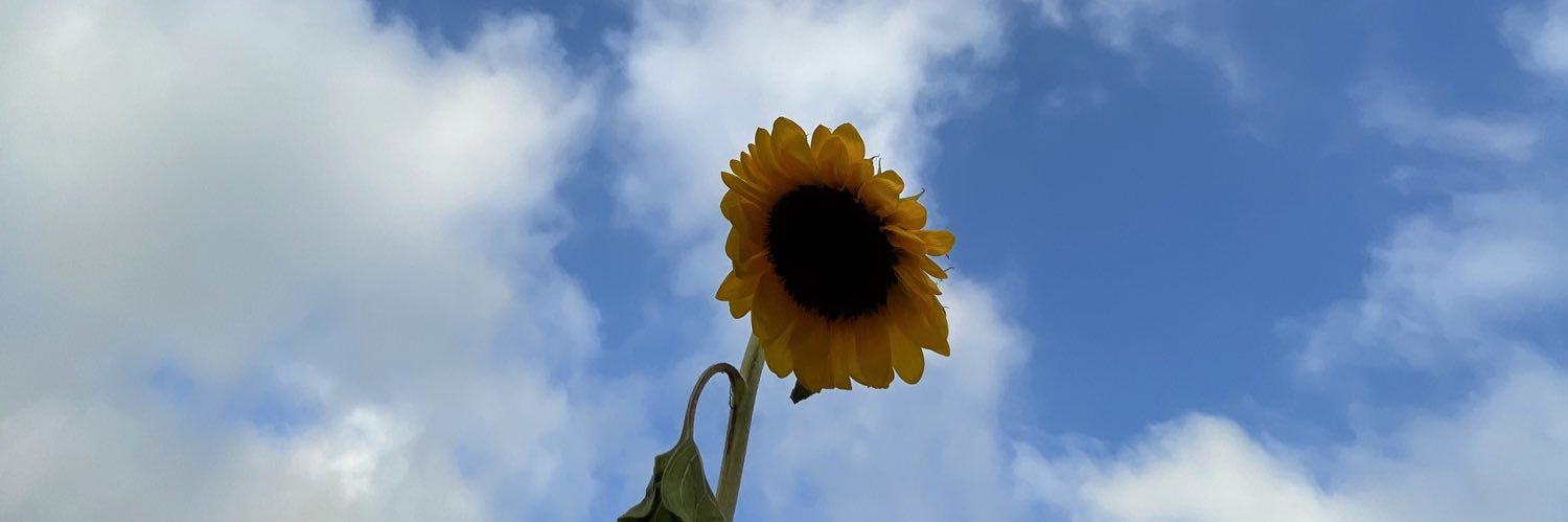 Samuele Barbetta's banner