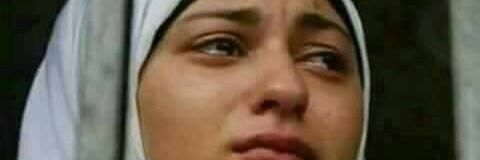 المصري's banner