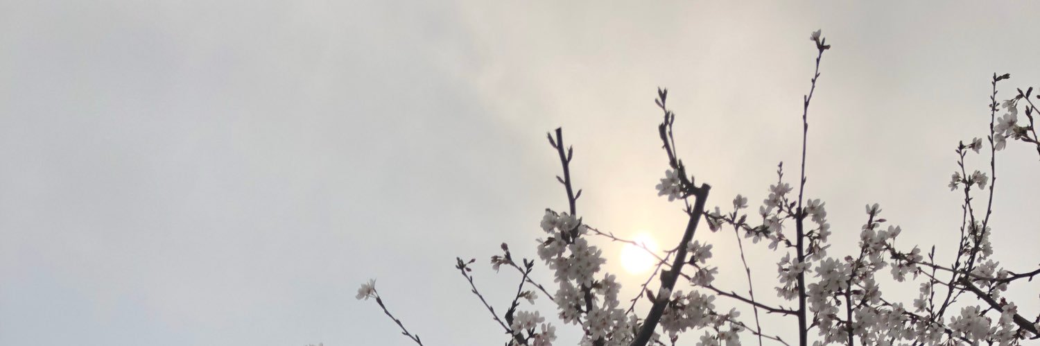 依然然's banner
