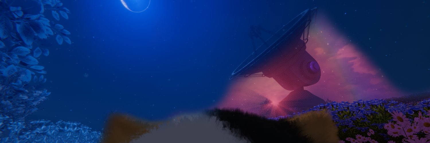 wiwi3d's banner