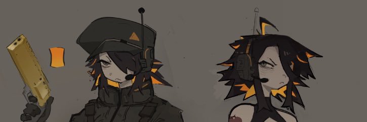 the's banner