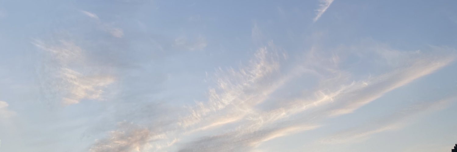 こっしー's banner