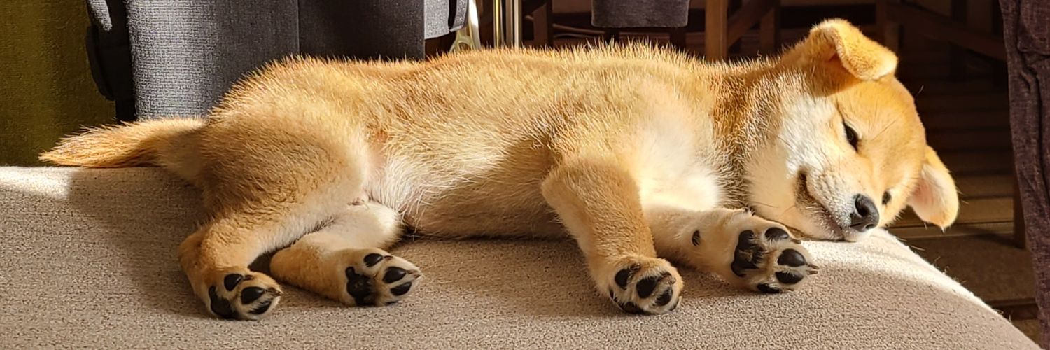 犬's banner